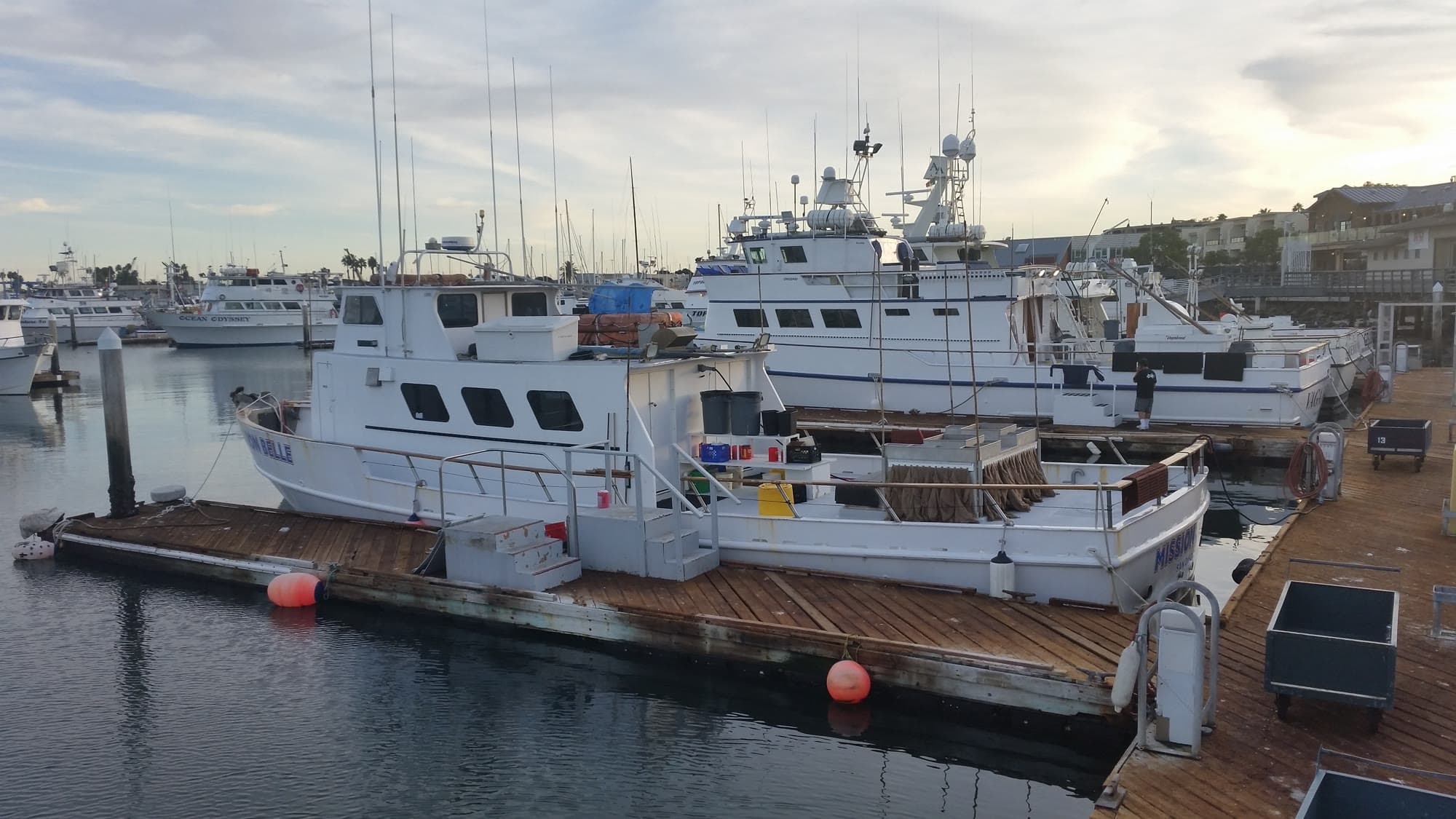 Mission Belle and neighboring sportfishers at a Point Loma landing